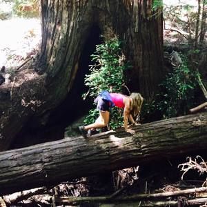 Meet your Posher, Kelsey